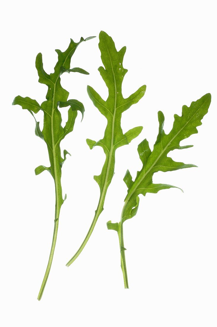 Three rocket leaves