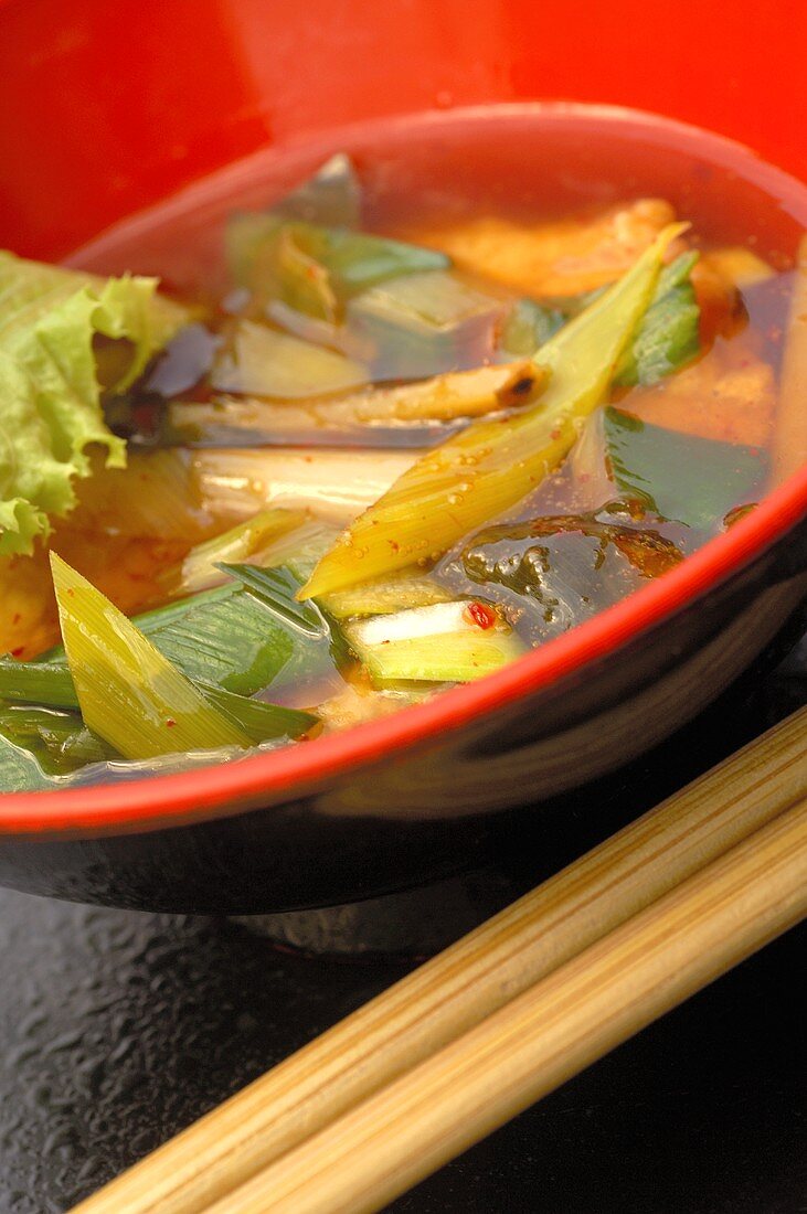 Vegetable soup (Asia)