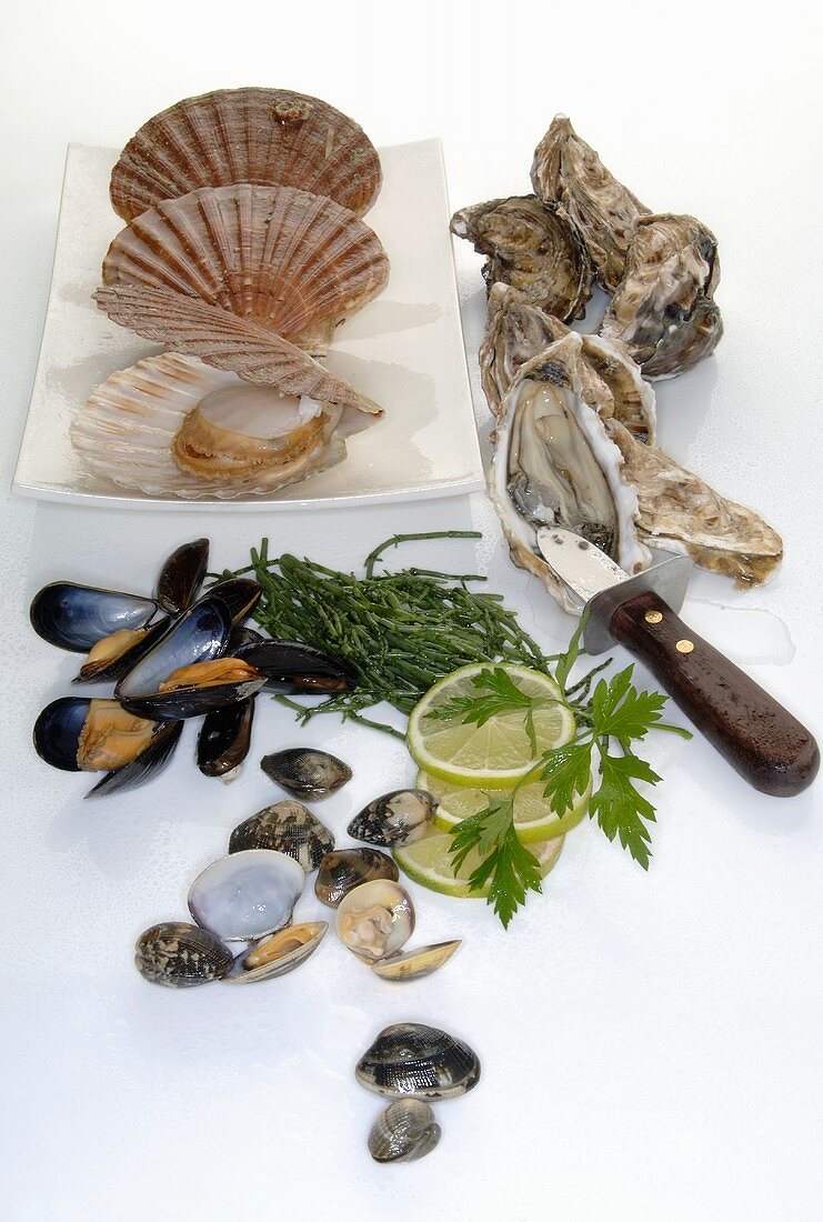 Assorted fresh shellfish