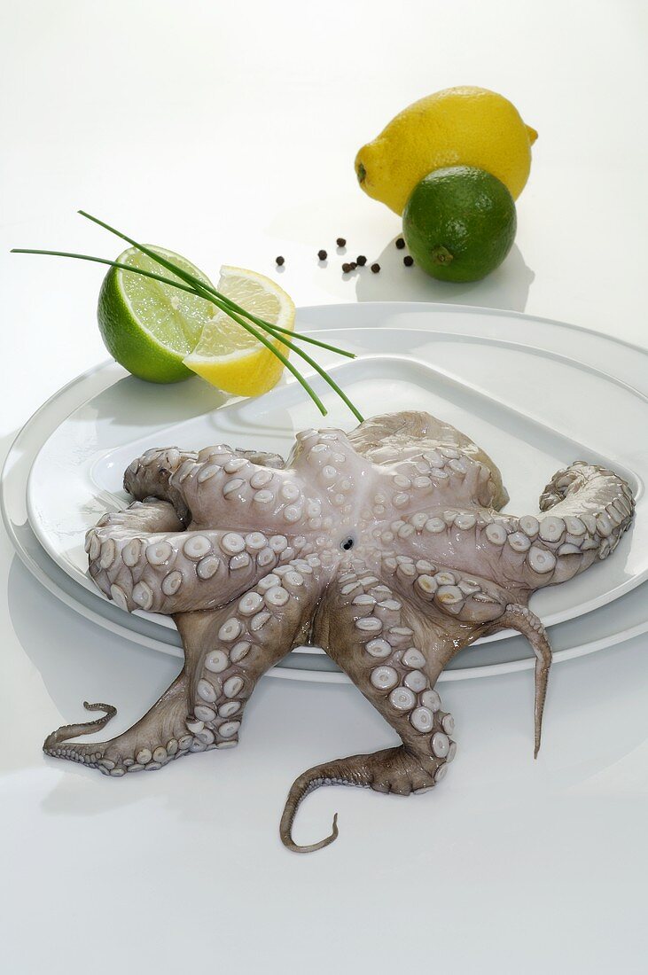 Octopus, lemons and limes