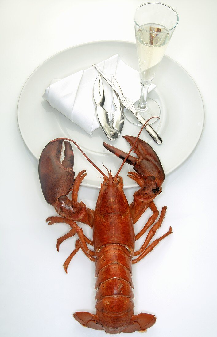 Cooked lobster, glass of sparkling wine, lobster utensils