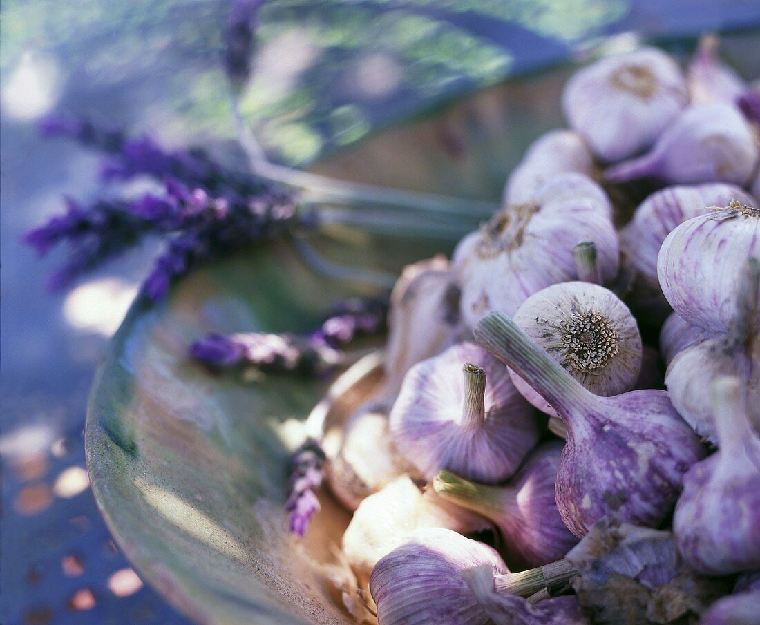 Knoblauch und Lavendelblüten in einer Schale