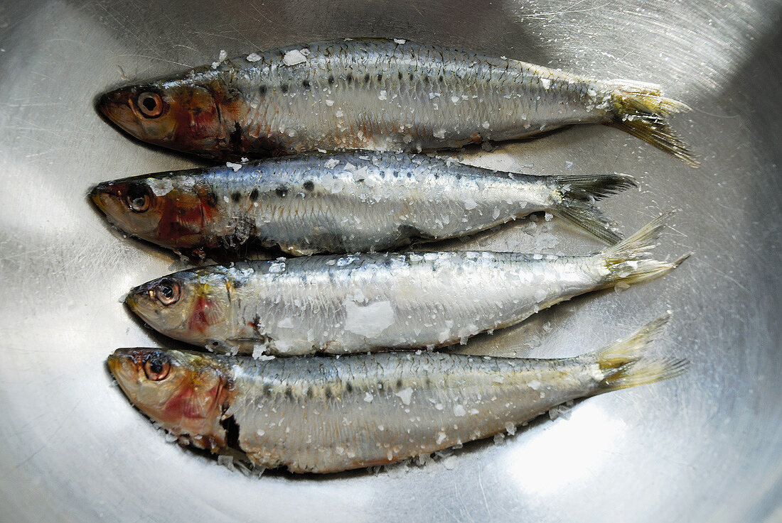 Four sardines sprinkled with salt on metal