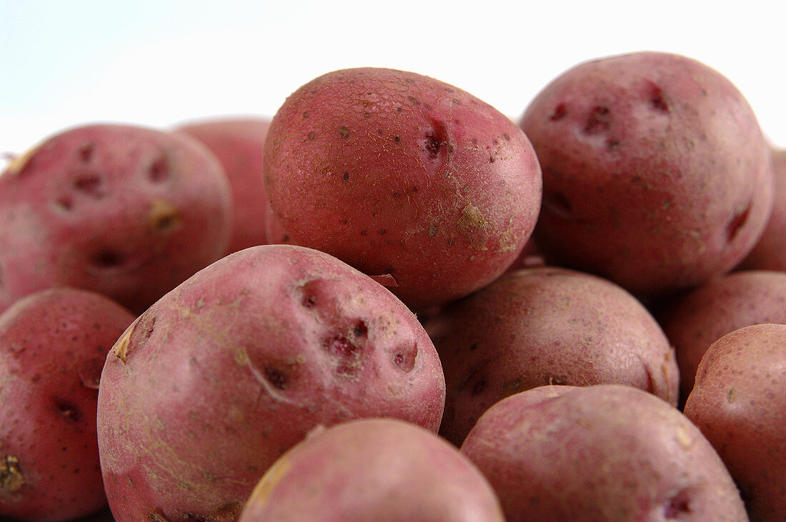 Several red potatoes