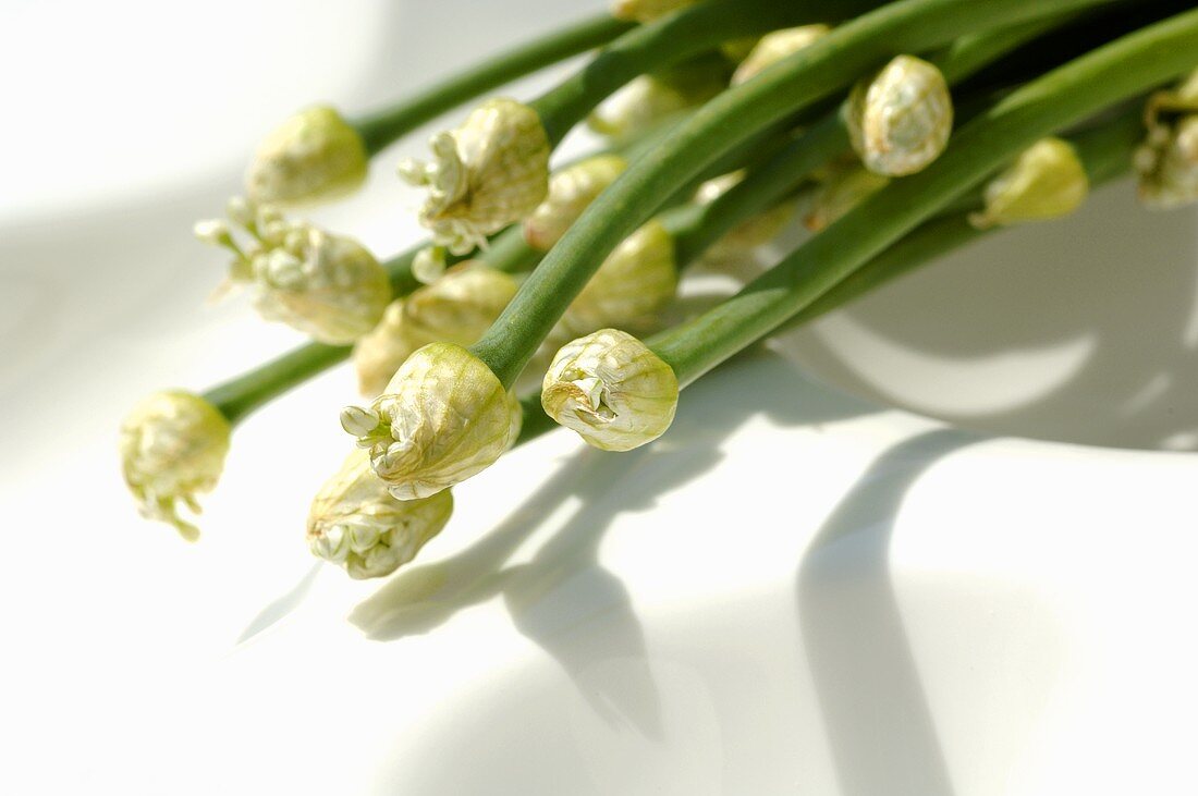 Garlic flowers