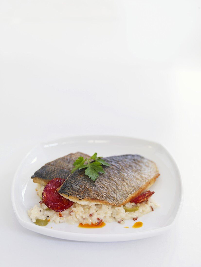 Fried sea bream on risotto