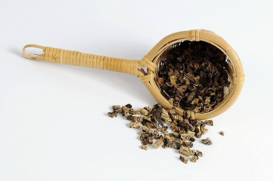 Dried black cohosh root in a tea strainer