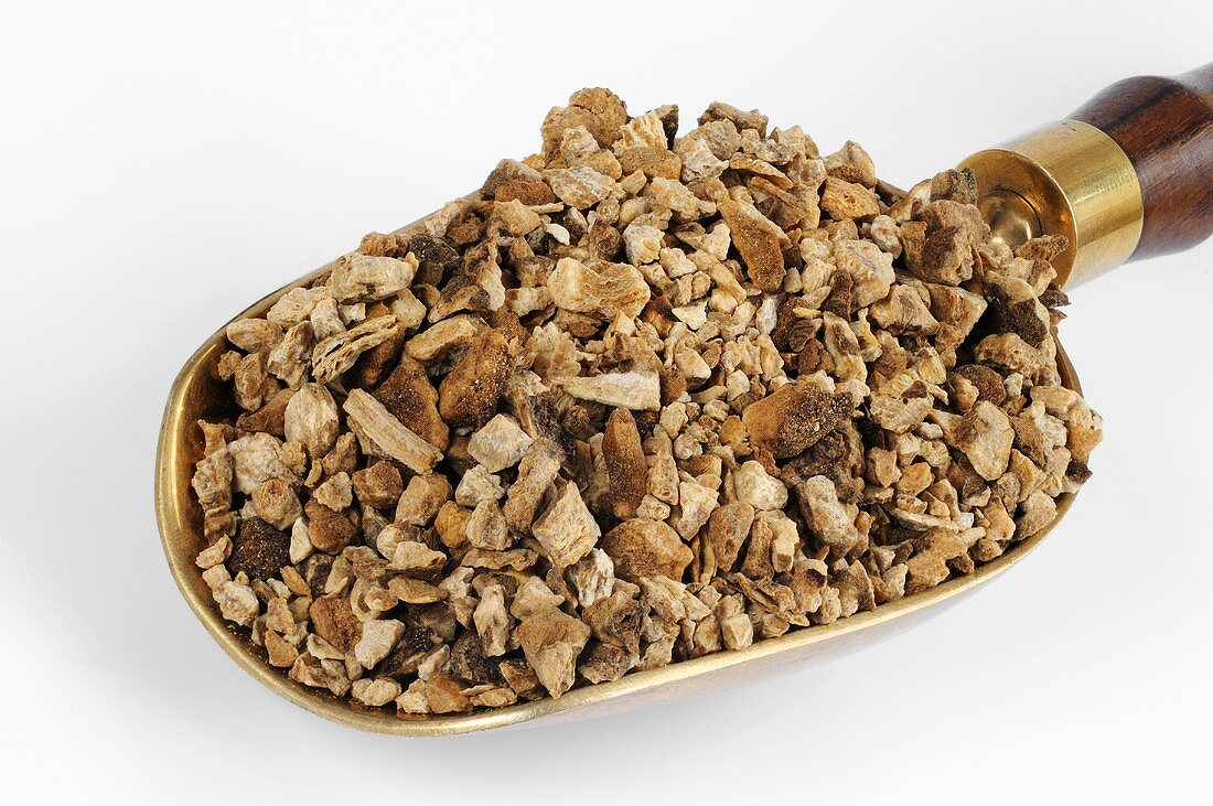 Dried Atractylodes root in a scoop