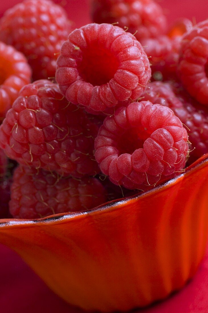 Fresh raspberries in a dish