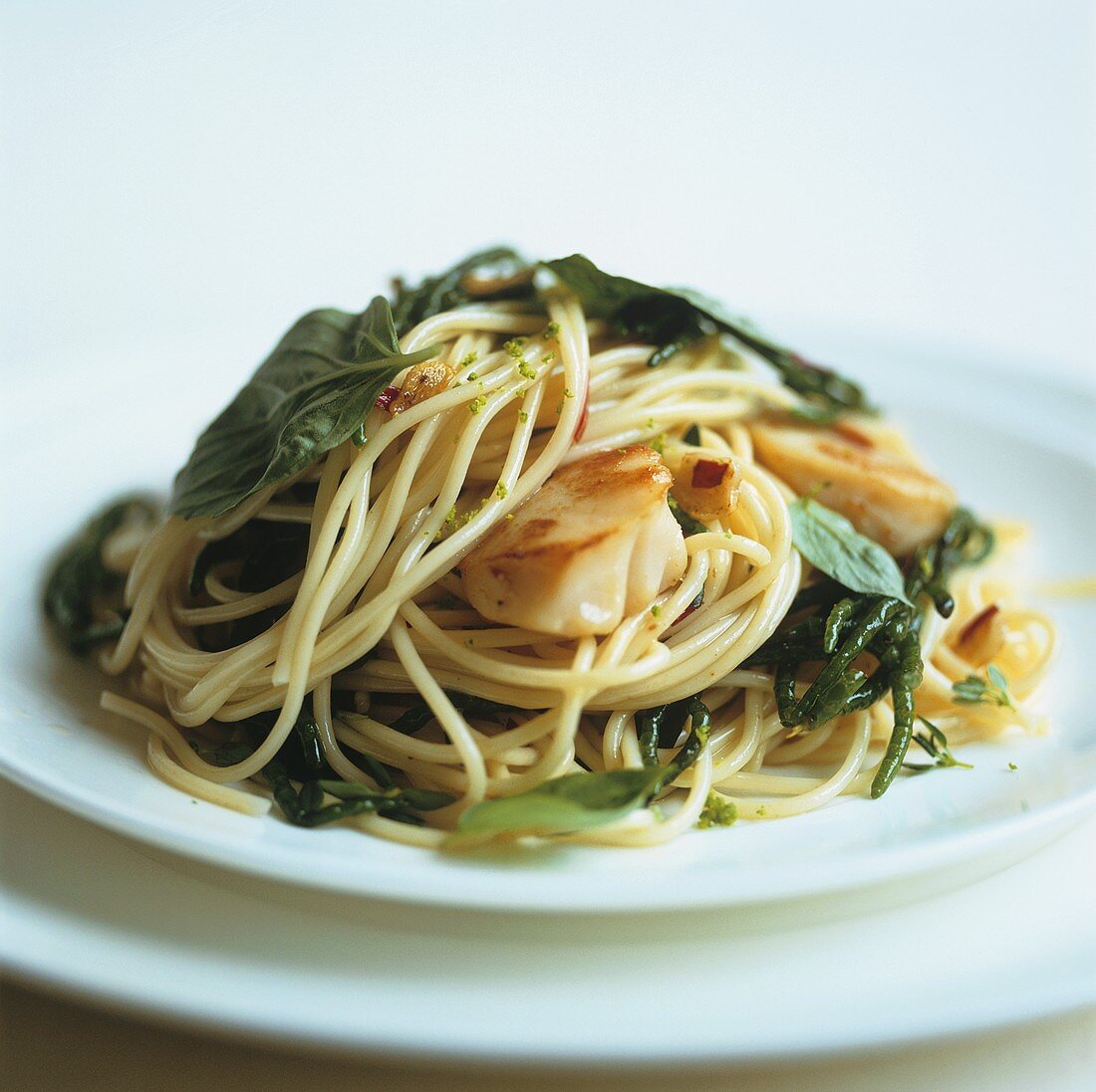 Spaghetti mit Jakobsmuscheln und Meerfenchel