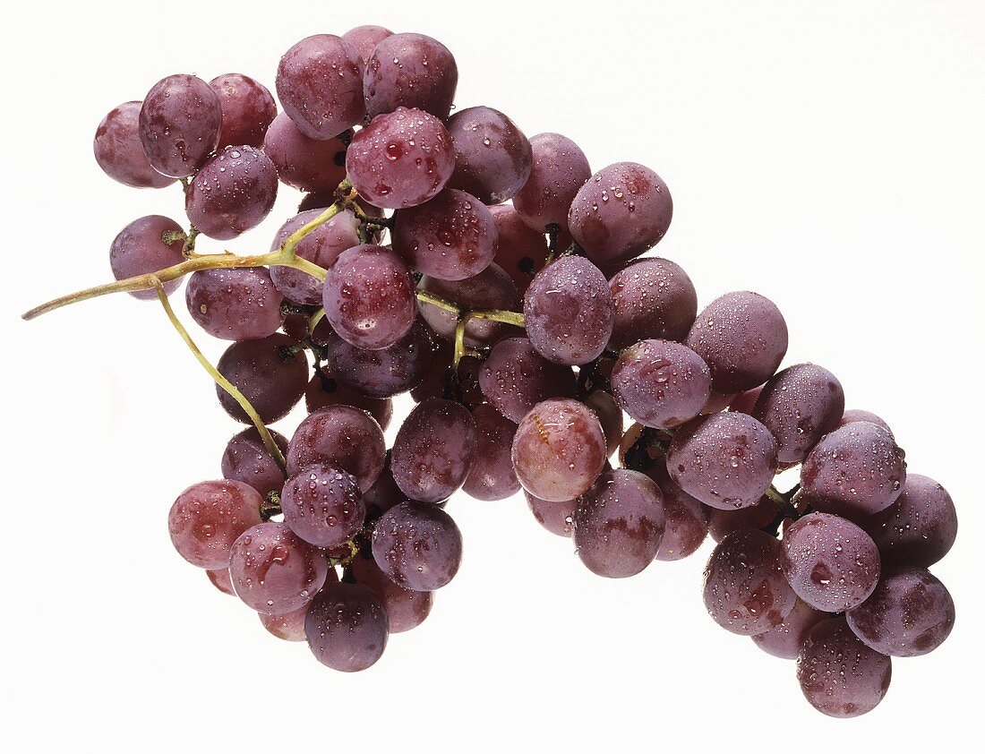 Red grapes with dew