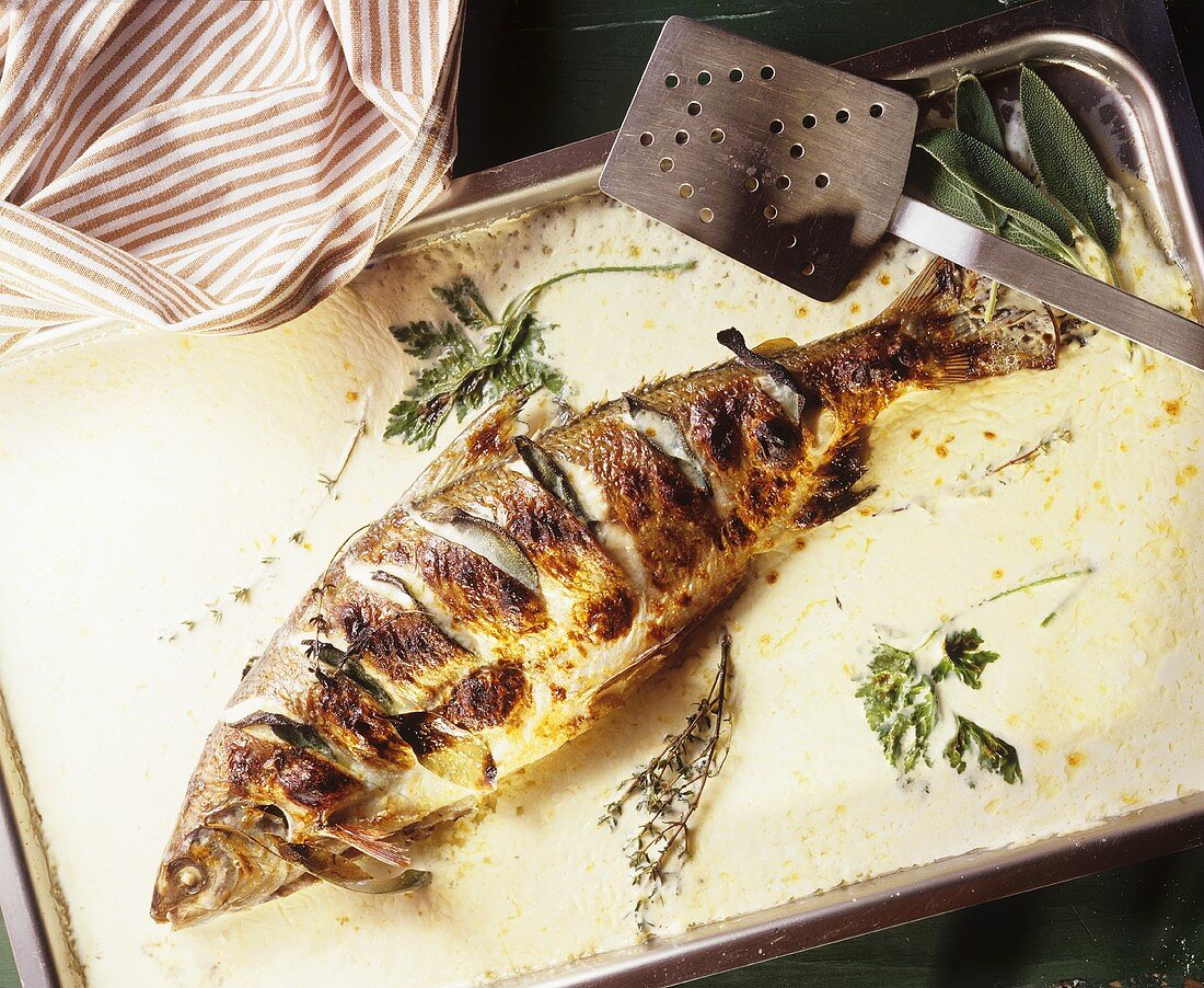 Roasted sea bass with herbs on cream sauce