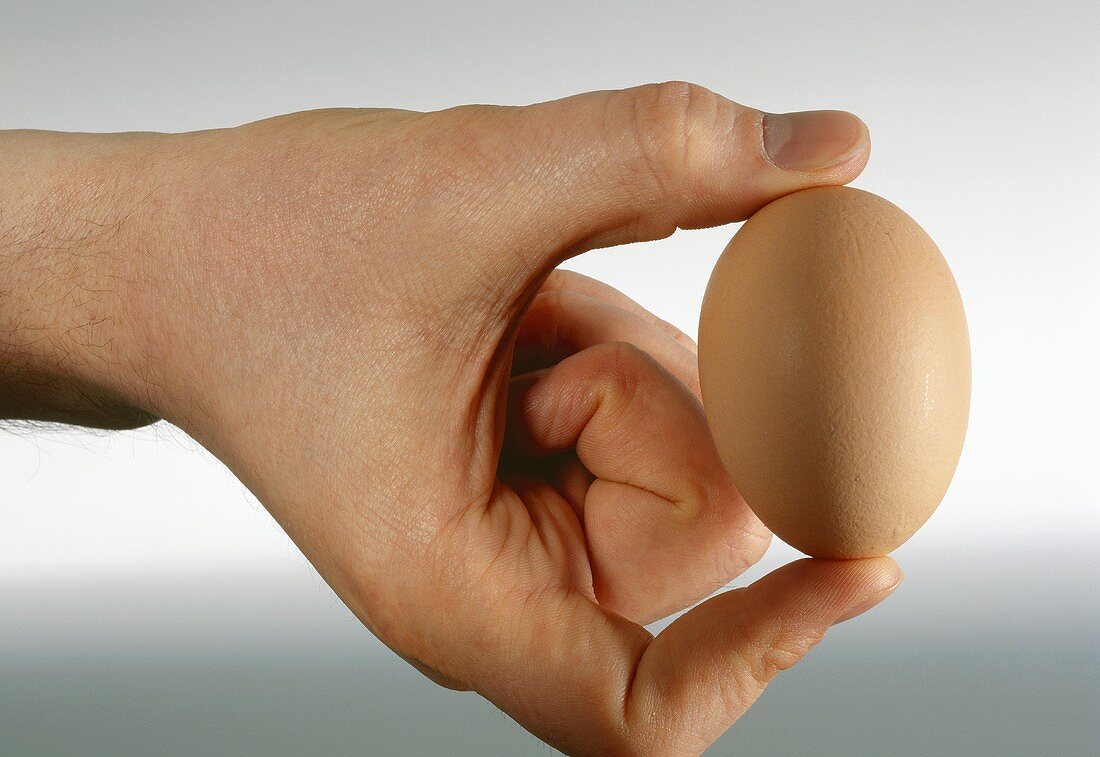 Hand holding a brown egg