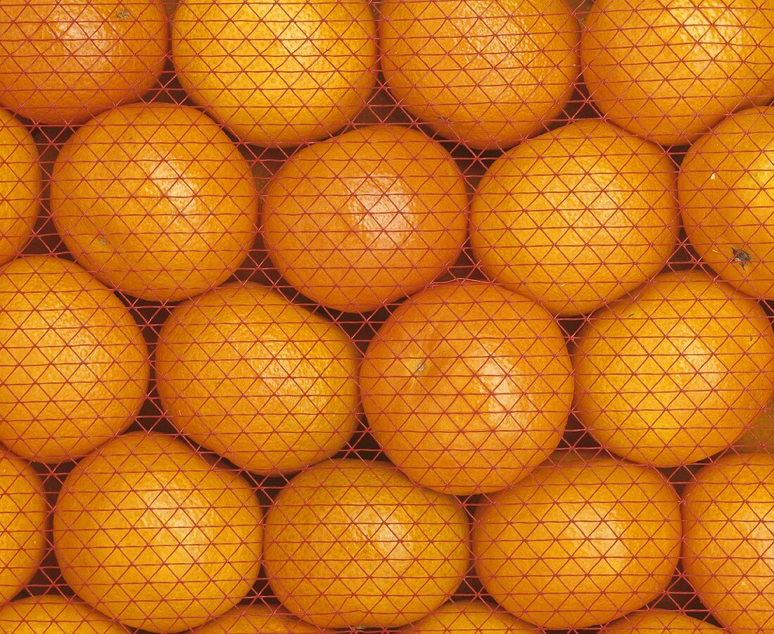 Kiste Orangen mit Netz, bildfüllend