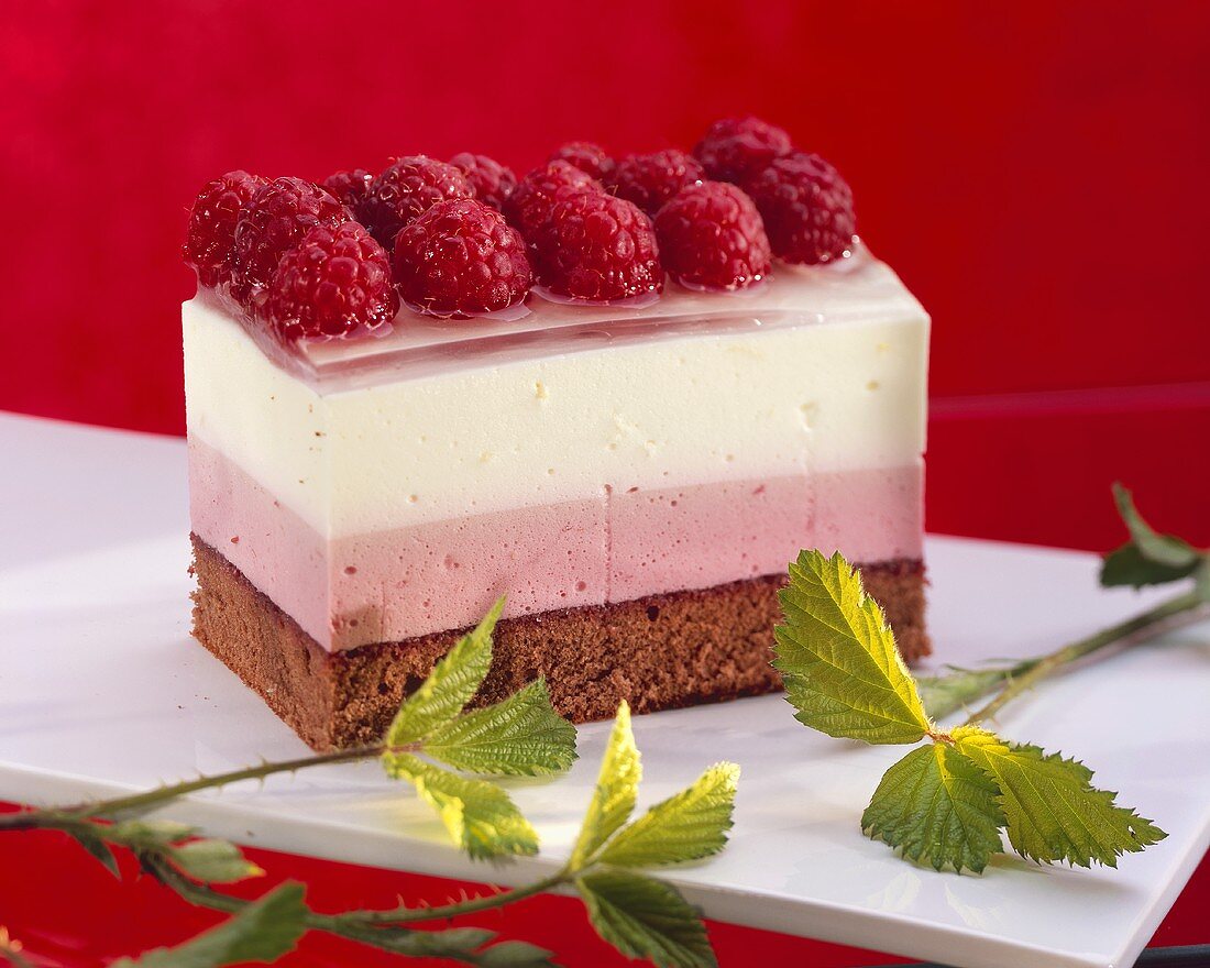 Raspberry yoghurt slice