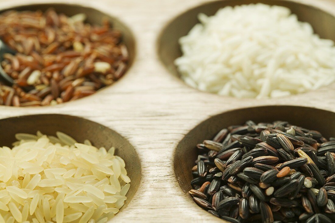 Vier verschiedene Reissorten (Close Up)
