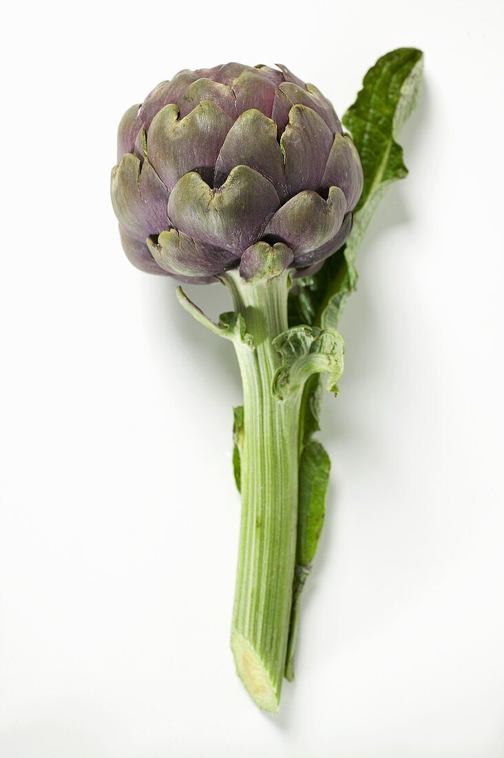 An artichoke