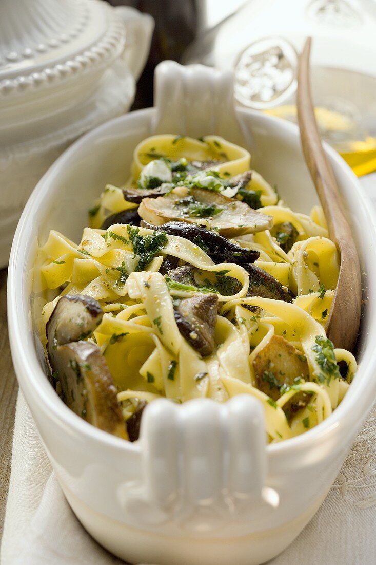 Tagliatelle mit Steinpilzen