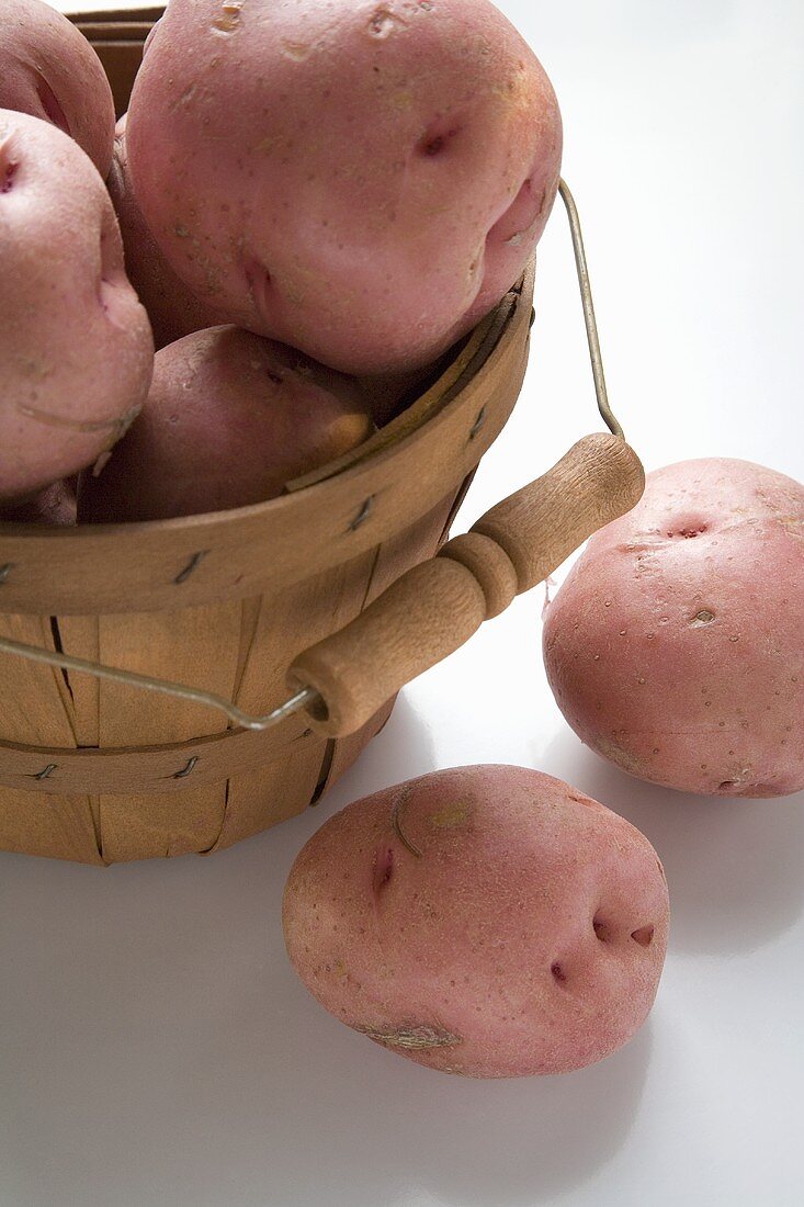 Rote Kartoffeln in und neben Spankorb