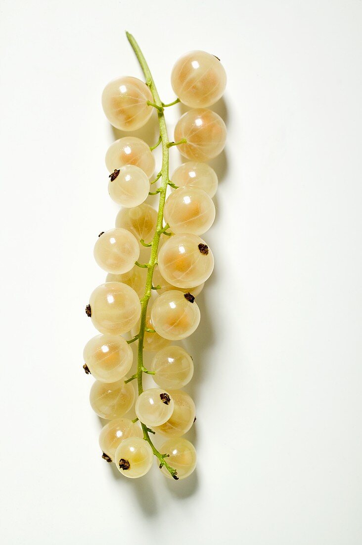 White currants