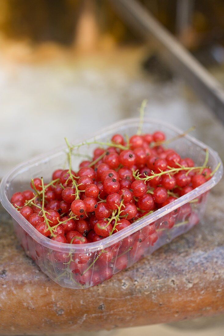 Rote Johannisbeeren in Plastikschale