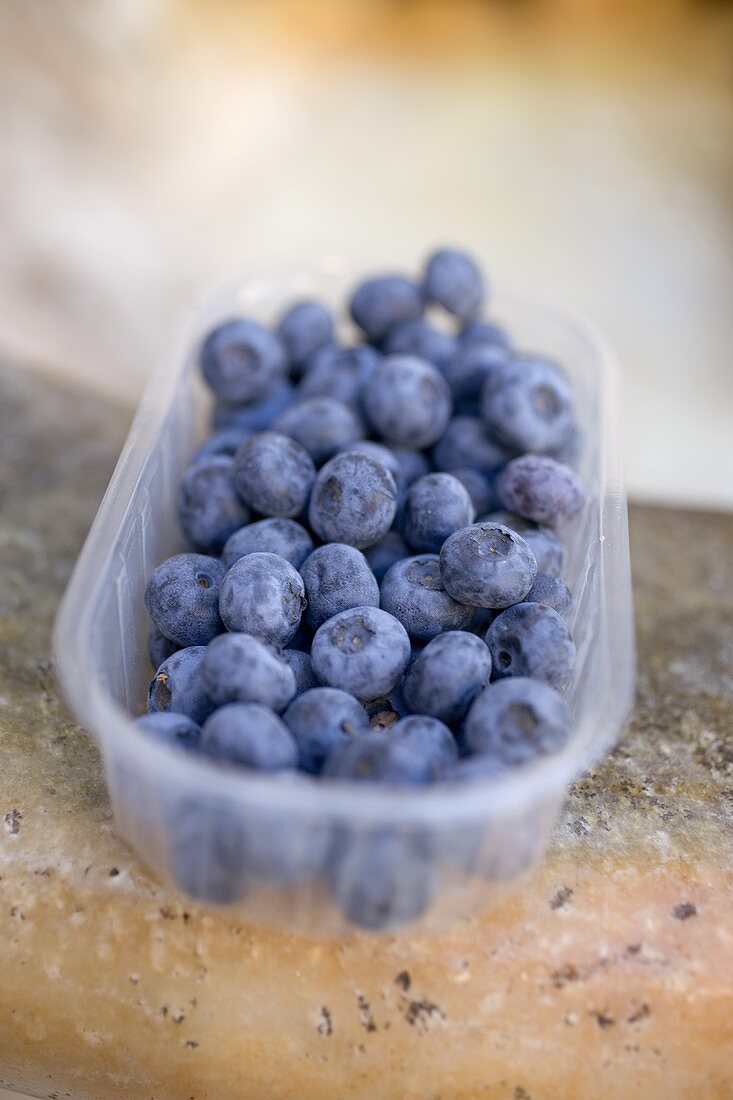 Heidelbeeren in Plastikschale auf einem Steinbecken