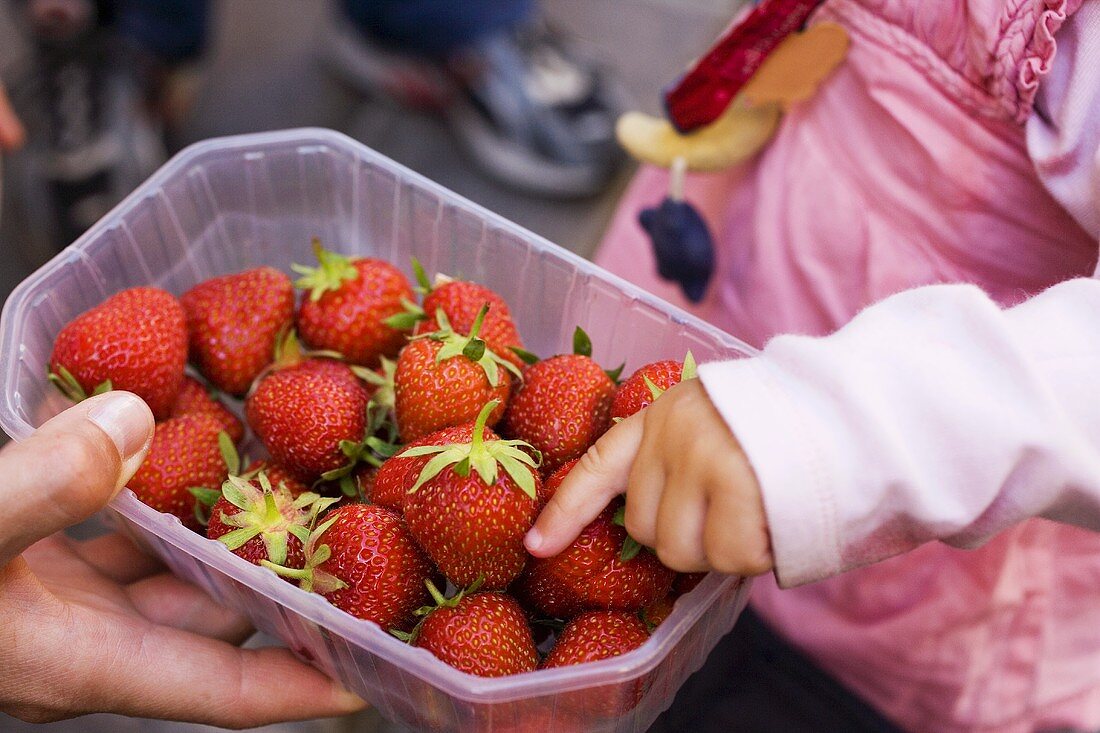 Kinderhand greift nach Erdbeeren in Schale