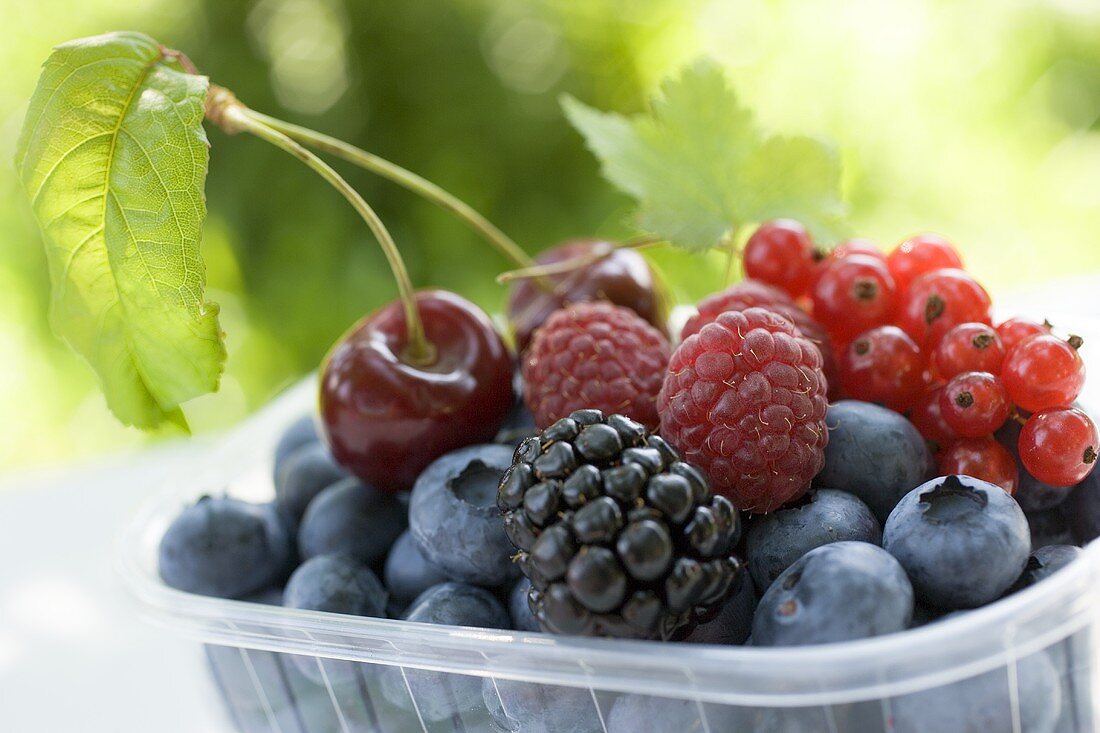 Verschiedene Beeren und zwei Kirschen in Plastikschale