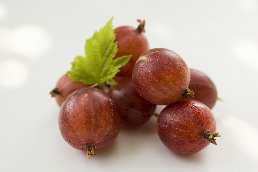 Several red gooseberries with leaf