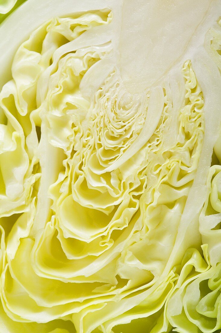 Half a white cabbage (detail)