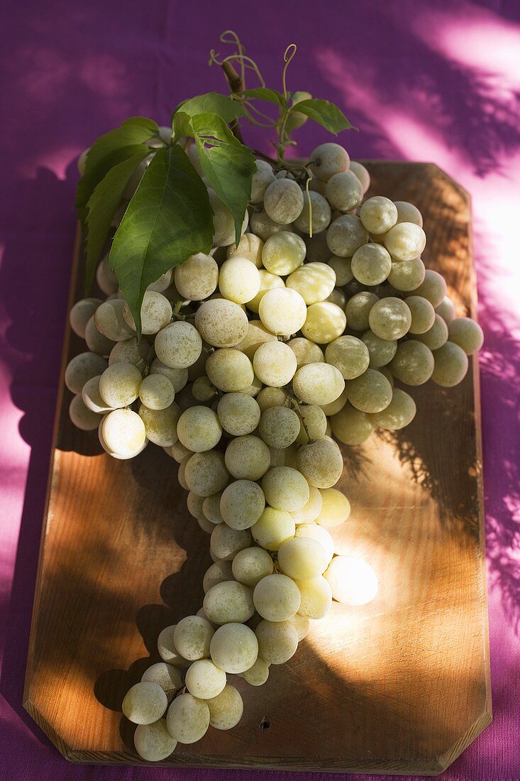 Green grapes with leaves on wooden chopping board