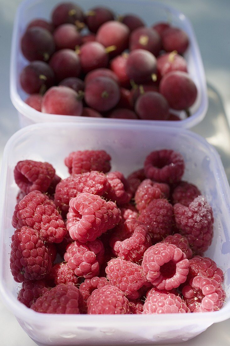 Fresh raspberries and gooseberries in plastic containers