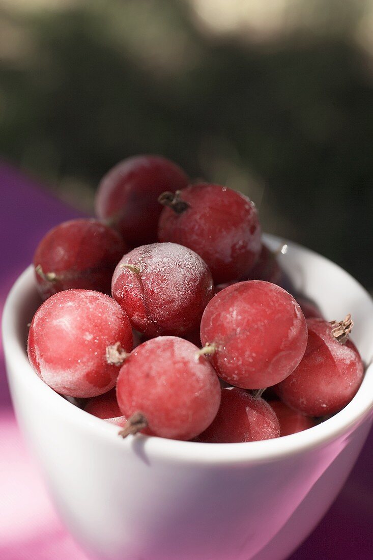 Rote Stachelbeeren in Keramikschale