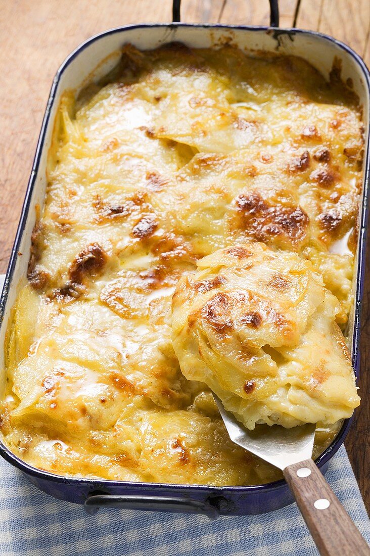 Potato gratin in roasting tin