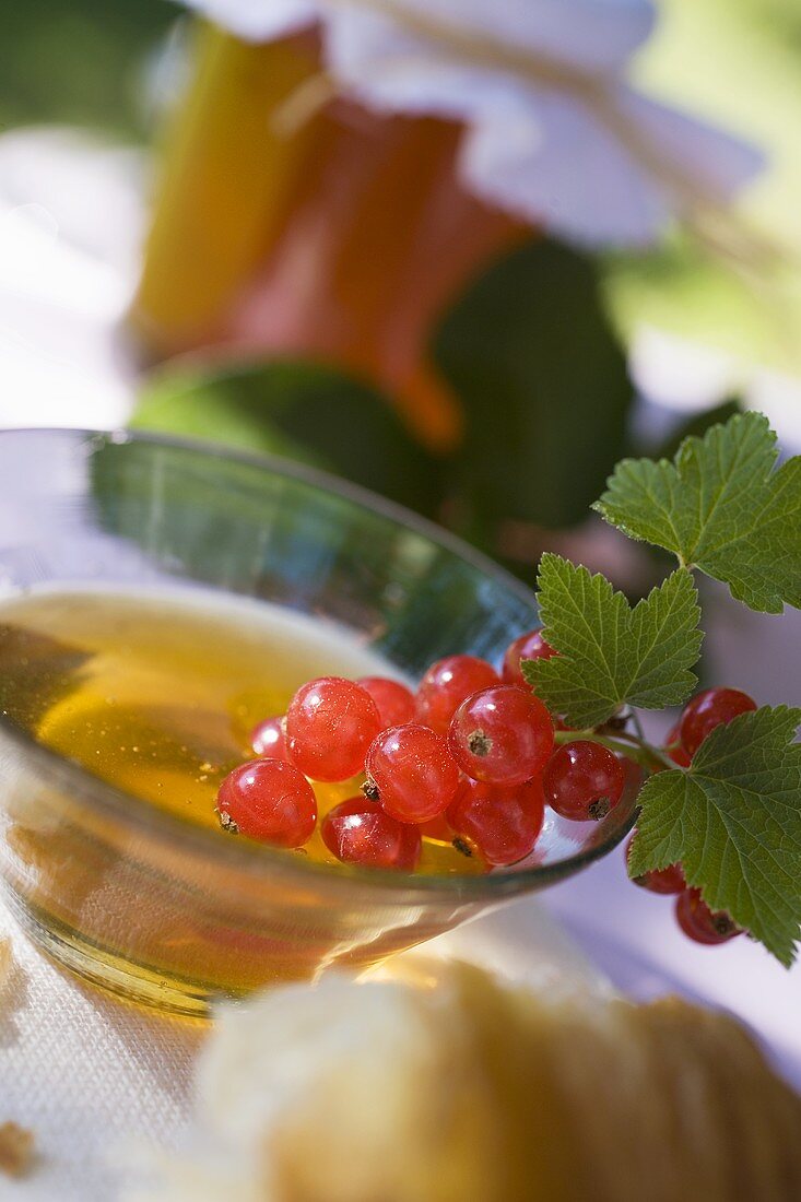 Honey and redcurrants