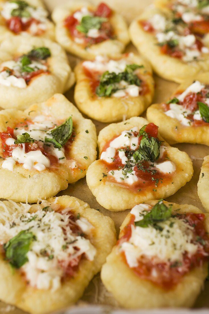 Mini-pizzas with tomatoes, cheese and basil