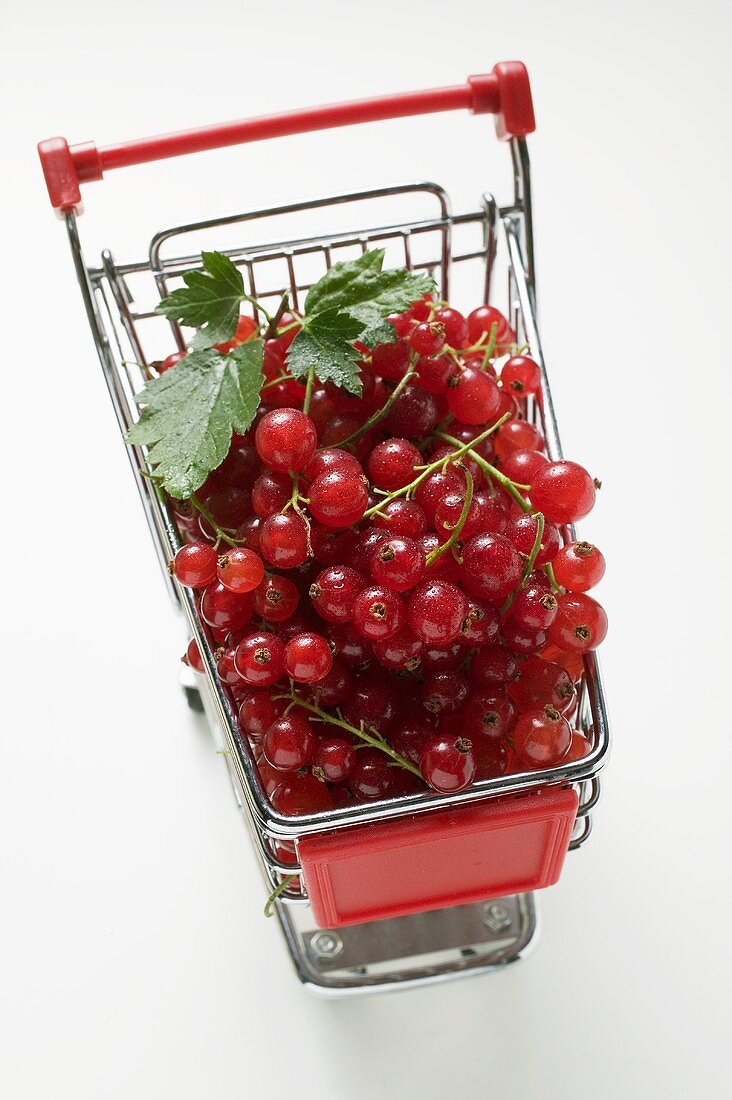 Redcurrants in shopping trolley