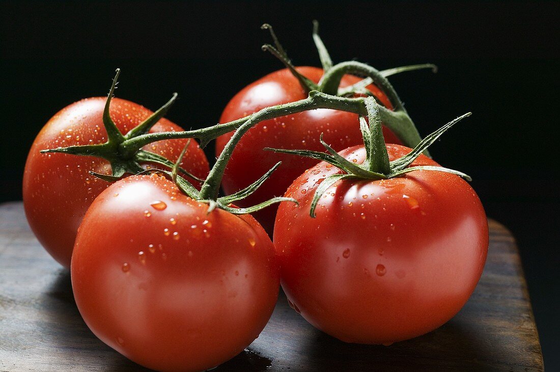 Four tomatoes on the vine with drops of water