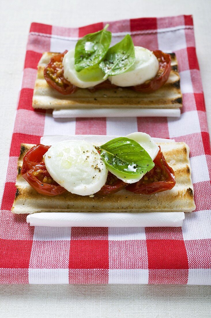 Two tomato and mozzarella toasts with basil