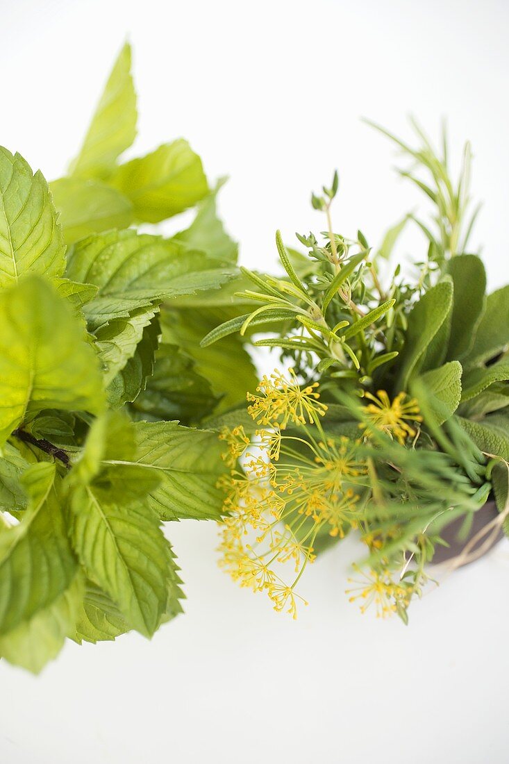 Fresh mint and bunch of herbs