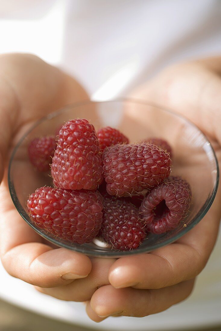 Hands holding small bowl of fresh raspberries