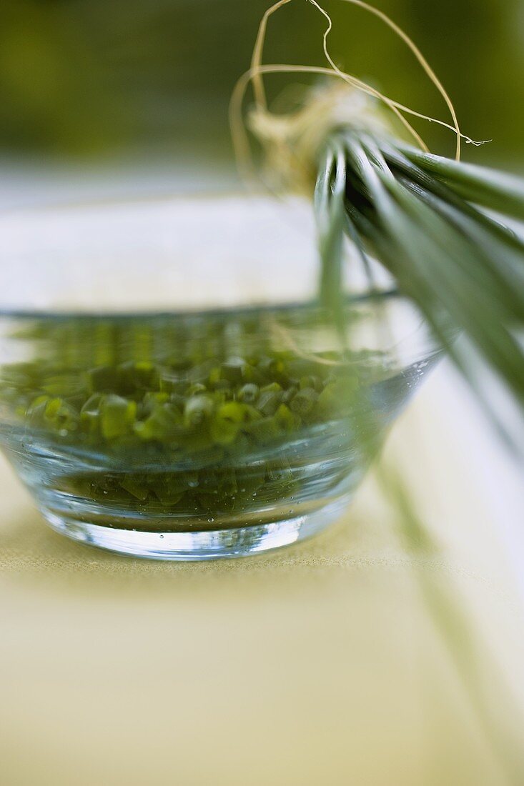 Fresh chives, a bunch and chopped