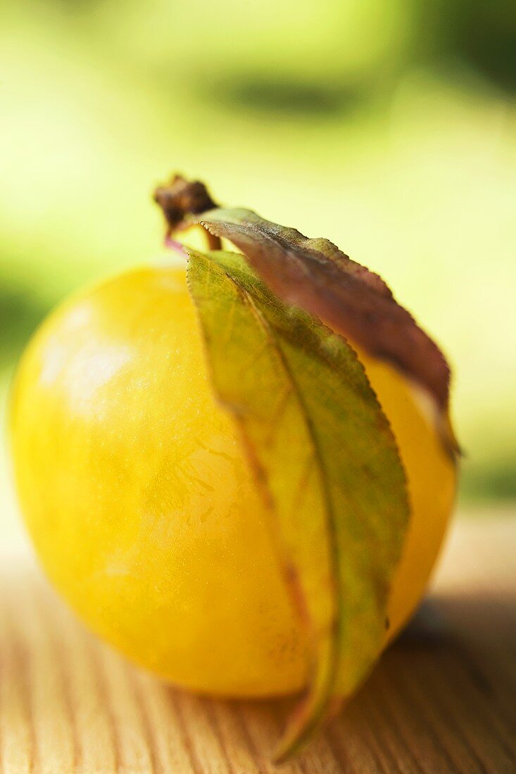 Yellow plum with leaves