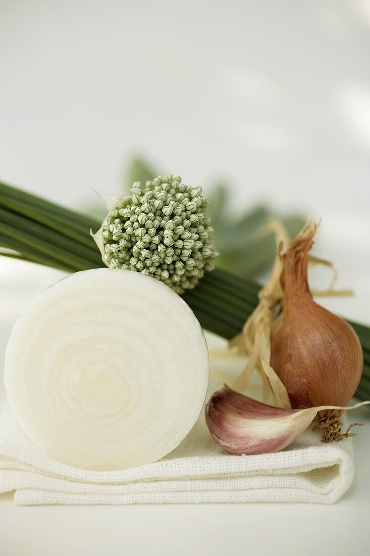 Onions, garlic, chives and garlic chives