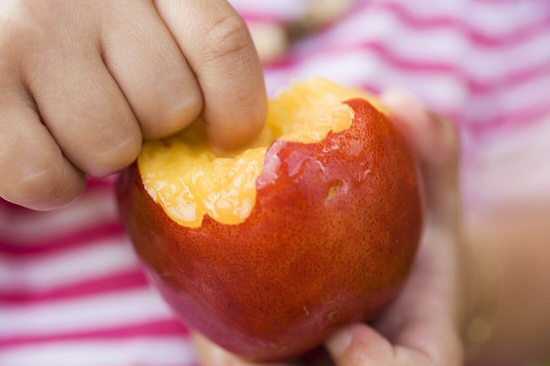 Child holding nectarine with bites taken