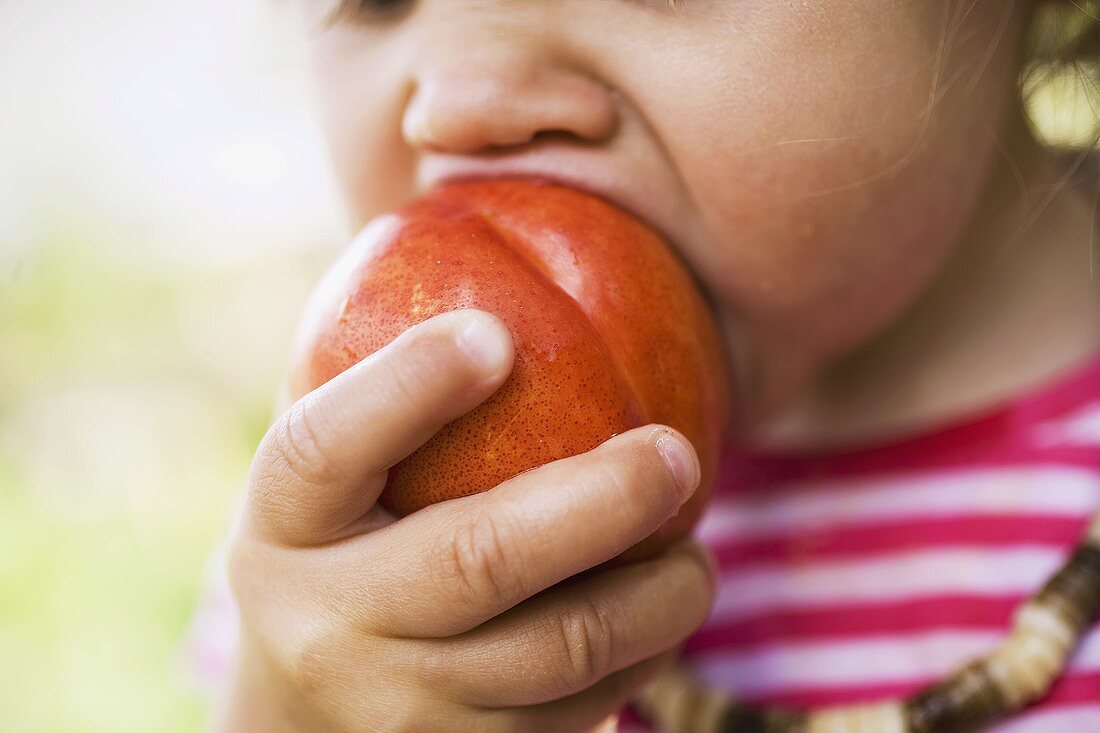 Child biting into nectarine