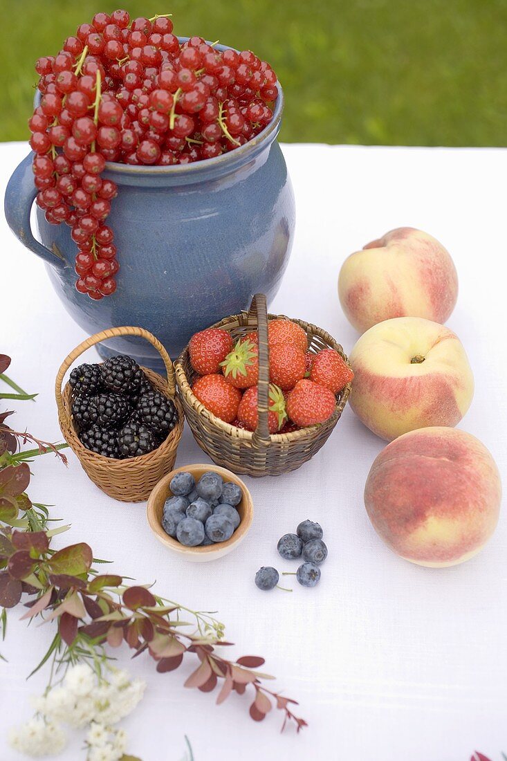 Sommerliches Obststillleben auf Tisch im Garten