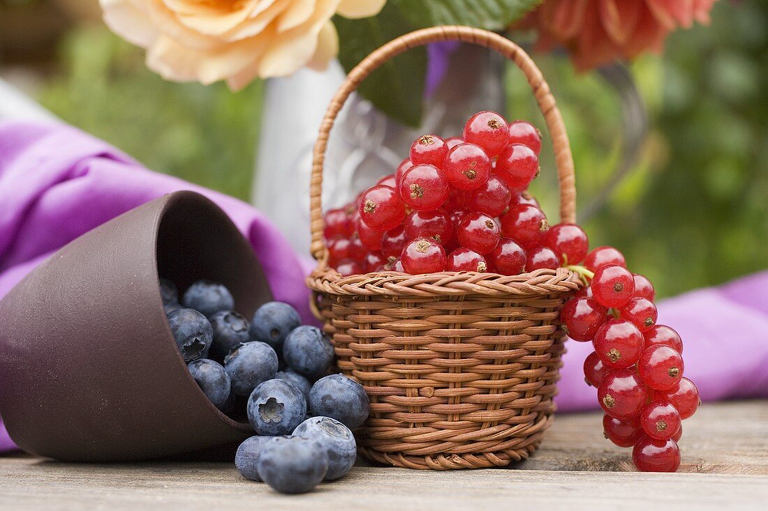 Heidelbeeren im Becher und Johannisbeeren im Korb auf Tisch