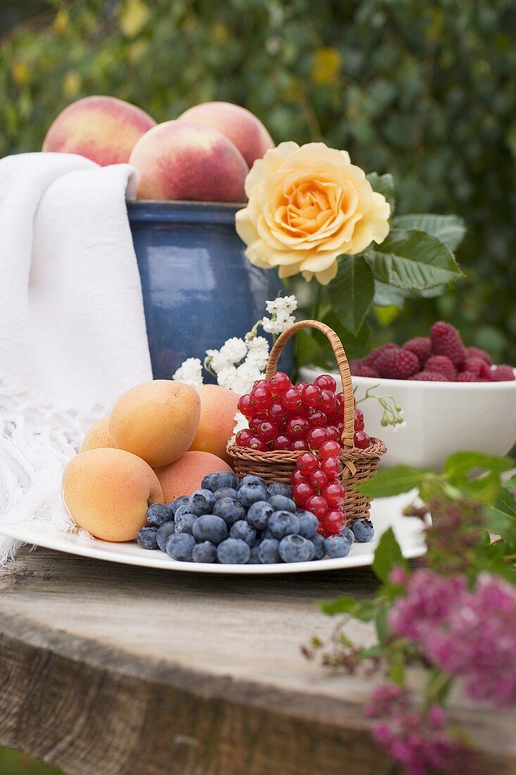 Pfirsiche, Aprikosen und Beeren auf Tisch im Garten