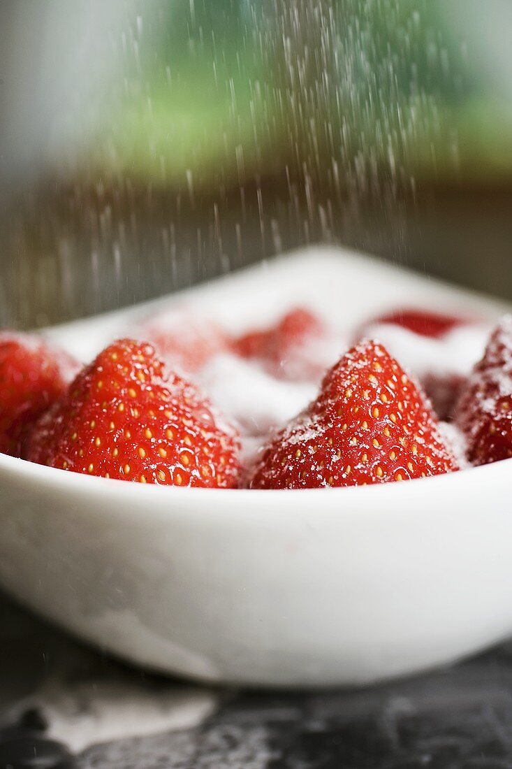 Sprinkling sugar on strawberries in white bowl